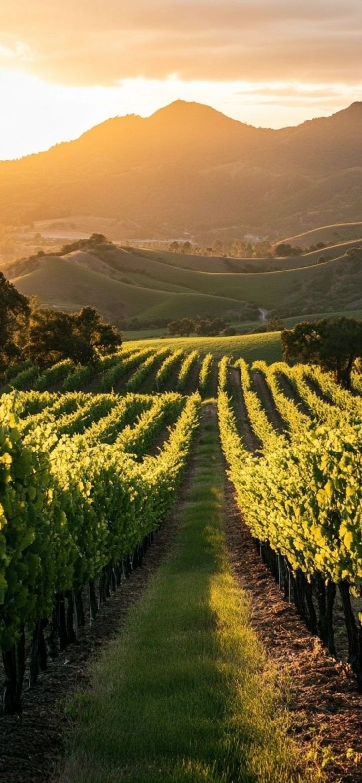 WHY TIMELESS FASHION OUTLASS TRENDS